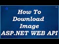 How To Download Image ASP.NET Web API