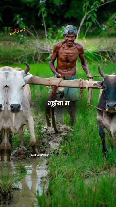 chhatisgarh ke bhuiya ma