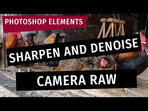 Photoshop Elements: Sharpen and Remove Noise in the Camera RAW Editor