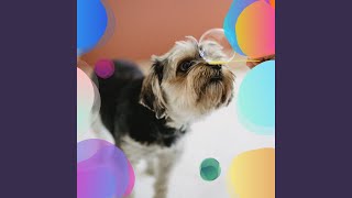 Stylish Ambiance for Calm Pups