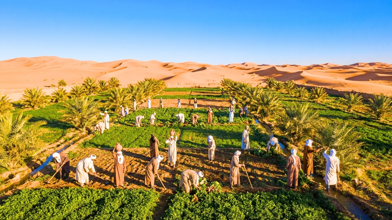 What Life Is Really Like for Farmers Living at the Edge of the Sahara