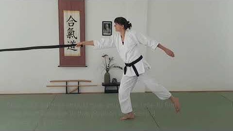 The virtual dojo day 9: Ukemi (balance and extension)