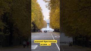 🍁осенний Крестовский остров #санктпетербург #осень #листва #парк #питер #спб #метро #красиво