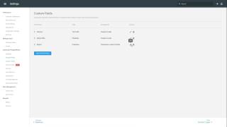 Creating Custom Fields Net Worth