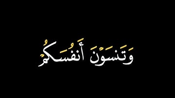اتأمرون الناس بالبر وتنسون انفسكم || كروما شاشة سوداء قران كريم ||