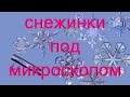 Снежинки под микроскопом изящные и неповторимые