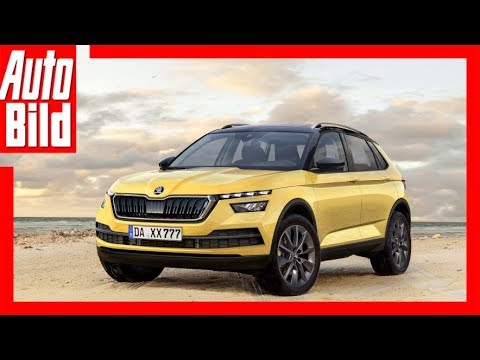 Zukunftsaussicht Skoda Polar 2019 Details Erklarung Youtube