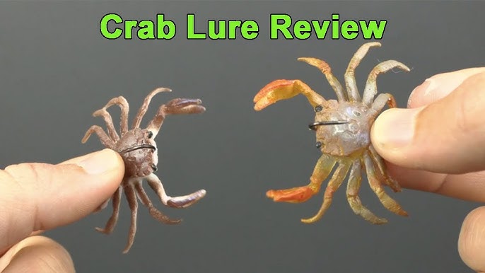 Savage Gear Crab Review: Pros, Cons, & Sheepshead Tips 