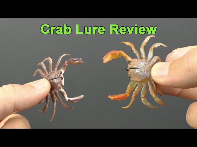 Best Crab Lure For Sheepshead (Chasebaits Crusty Crab Review) 