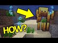 WEIRDEST WTF Minecraft Moments That Will Make you Question Reality #4