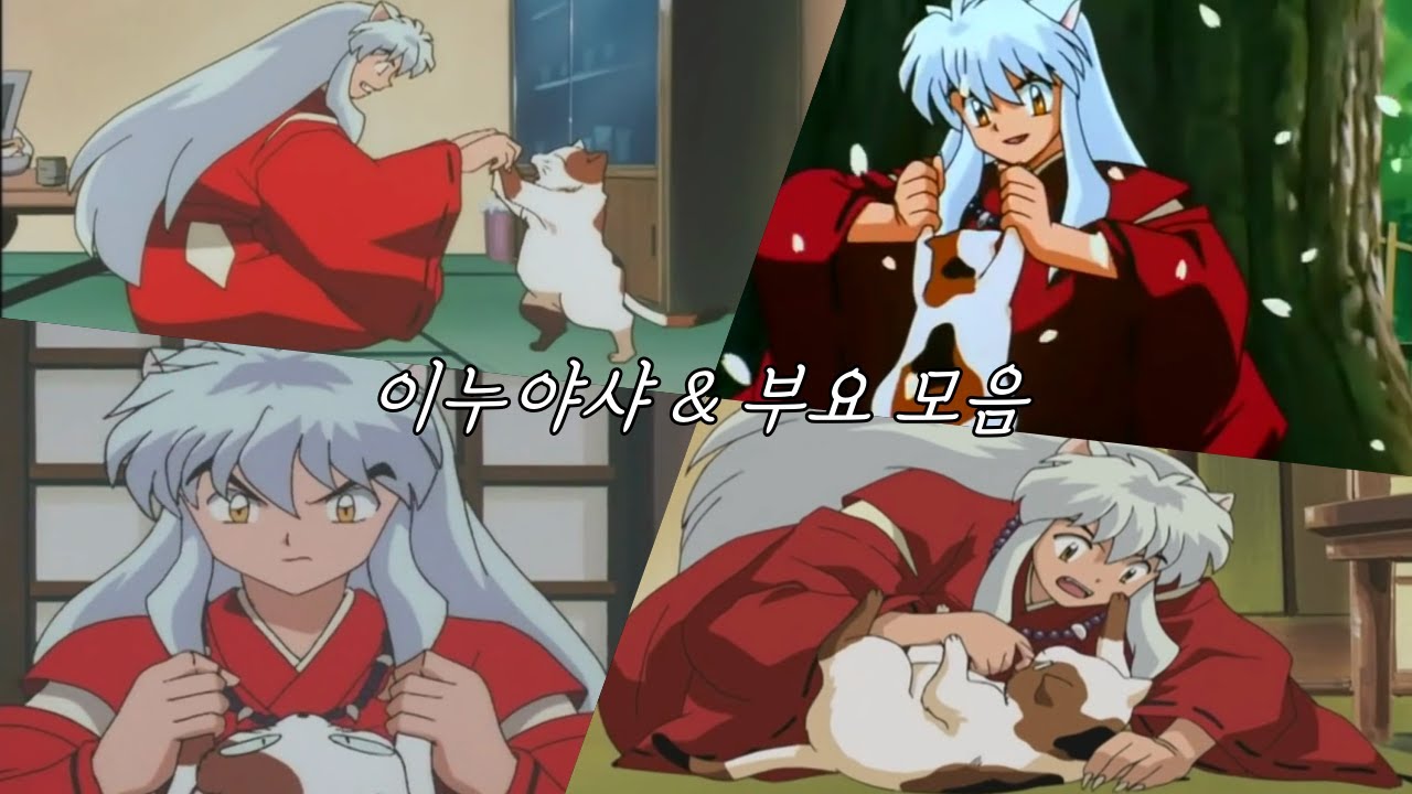 이누야샤 & 부요 모음