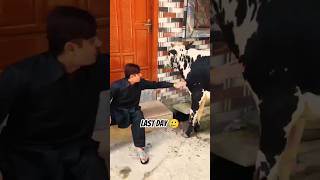 EidDay 1|Emotional video|Musafa last Day 🥲Qurbani 2026|subhan Ali vlog #youtubeshorts #qurbani2026