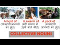 Basic collective nouns  quick english lessons by train the teacher