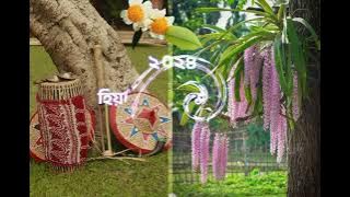 Assamese bohag bihu status/coming song bihu 14 April 2024/Whatsapp Status video/#Axomranjitvlogs