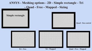 Celebrity ANSYS   Meshing options   2D   Simple rectangle   Tri   Quad   Free   Mapped   Sizing Profile
