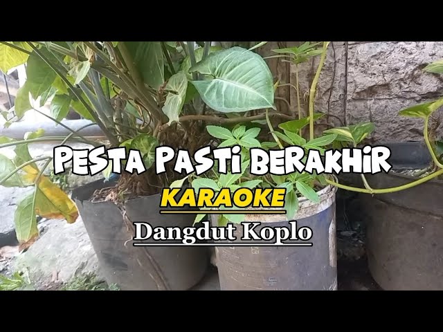 Pesta Pasti Berakhir - Karaoke dangdut koplo Mahesa Musik (lagu rhoma irama) class=
