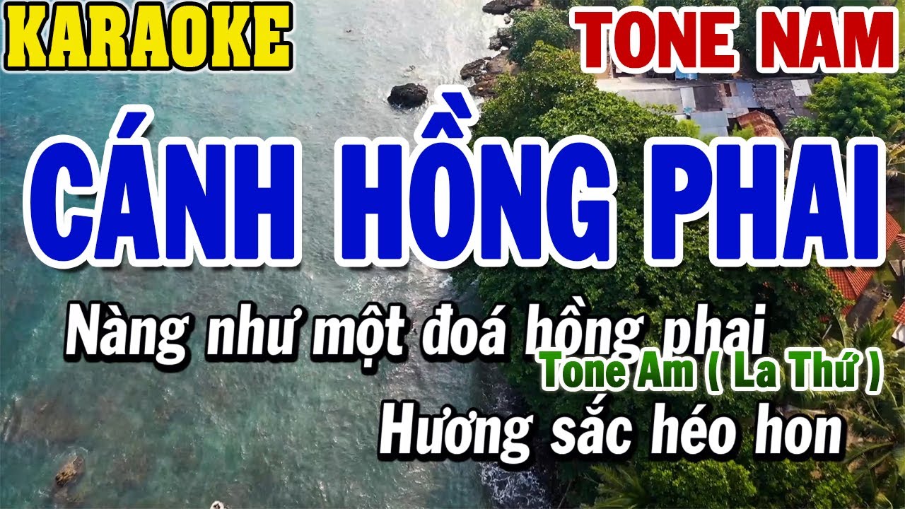 Karaoke Cánh Hồng Phai Tone Nam | Karaoke Beat | 84