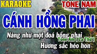 Karaoke Cánh Hồng Phai Tone Nam | Karaoke Beat | 84
