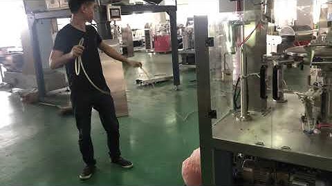 7. Installation & debugging of Rotary Packing Machine