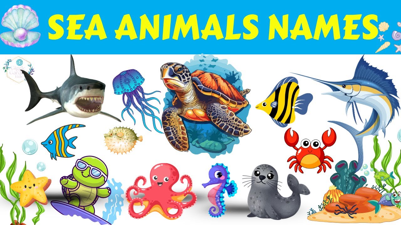 20 Sea Animals Names for Kids🐬| Learn Ocean Animals with Fun Flashcards ...