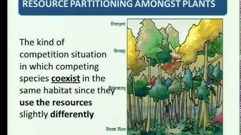Types of interaction in a community resource partitioning