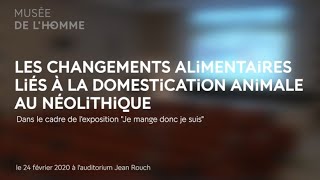 Les changements alimentaires liés à la domestication animale au Néolithique