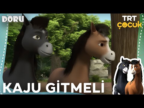 DORU | KAJU GİTMELİ