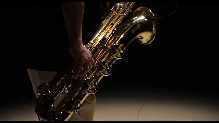 David Mott: Regarding Starlight - Solo Baritone Sa...