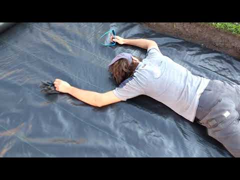 Видео: Как сделать патио из бетона?