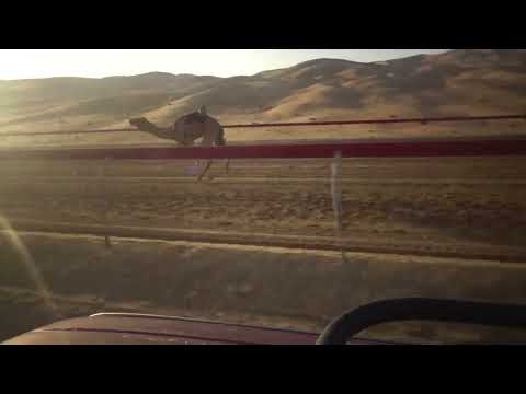 ش 5 الرباعه ل محمد سالم خلفان المنصوريتوقيت9 36 28