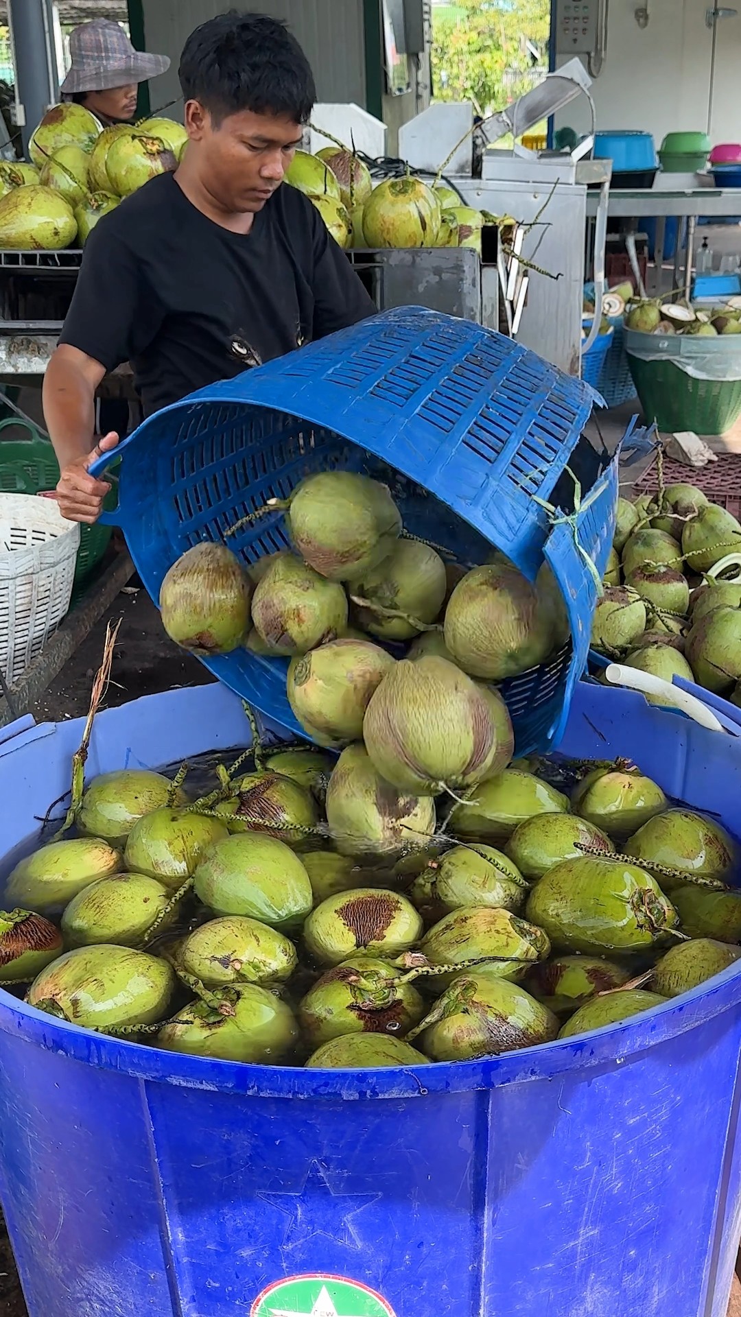 Best Coconut Cutting Machine - Fruit Cutting Skills