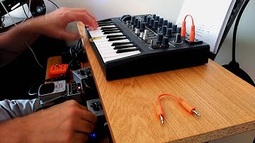 Microbrute Through Guitar Pedals