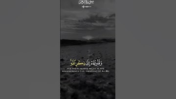 ارح قلبك💕💕#سورة_الزمر❤