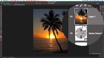 Activity: Vector Smart Object