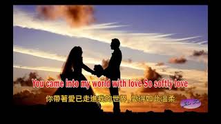 溫柔的傾訴 Speak Softly Love （半音階口琴）