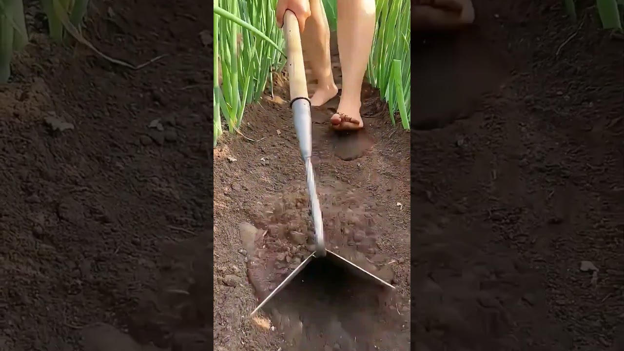 Hoeing process with a high-quality manganese steel triangular hoe 