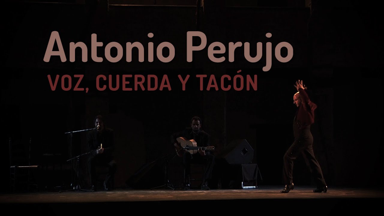 cultura granada ANTONIO PERUJO