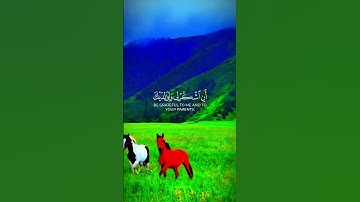 وَوَصَّيْنَا الْإِنْسَانَ بِوَالِدَيْهِ حَمَلَتْهُ أُمُّهُ وَهْنًا عَلَى وَهْنٍ وَ (14)" سورة لقمان.