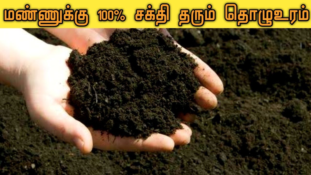 ஊட்டமேற்றிய தொழு உரம் தயாரிப்பு| மேம்படுத்தப்பட்ட தொழுஉரம்