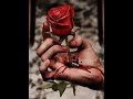 chuturane chustunna ..love songs Mp3