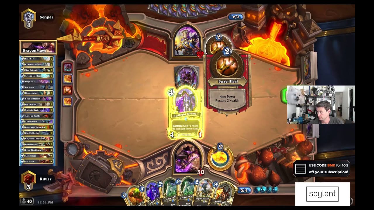 (Hearthstone) Both Teams Played Hard