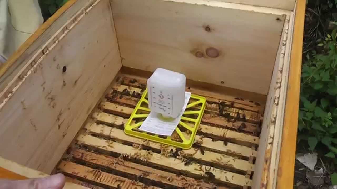 Easy Imkern - Ameisensäurebehandlung mit dem Liebig-Dispenser - YouTube