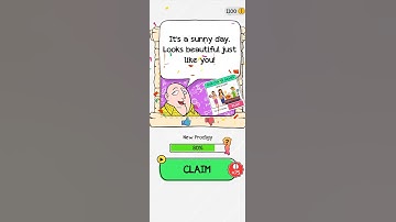 Braindom Level 174 (Clean The Window) Solution