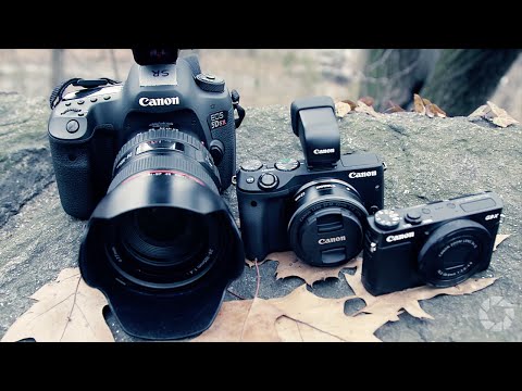 Choosing the Right Camera: Two Minute Tips with David Bergman