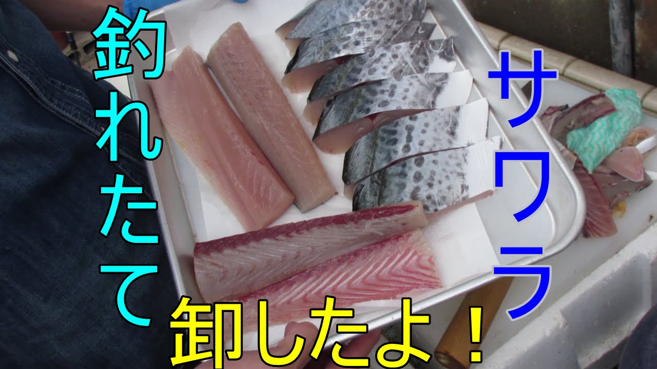 鮮度が命 サゴシ サワラ の美味しい食べ方と旬の時期は 暮らし の