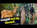 Deer bonding with security personnel going viral on social media