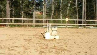 DSCF4857.AVI