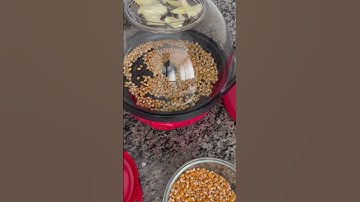 DASH Hot Air Popcorn Popper Maker with Measuring Cup to Portion Popping Corn Kernels Review