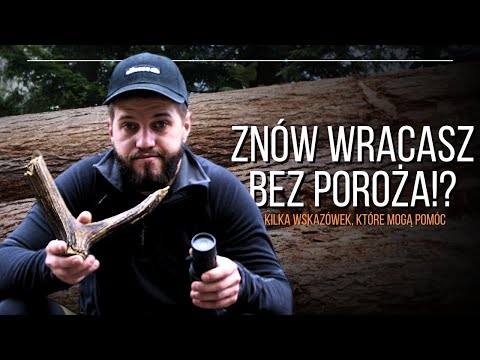 Wideo: Poroże jelenia (zdjęcie). Dlaczego poroże jelenia? Kiedy jelenie zrzucają poroże?