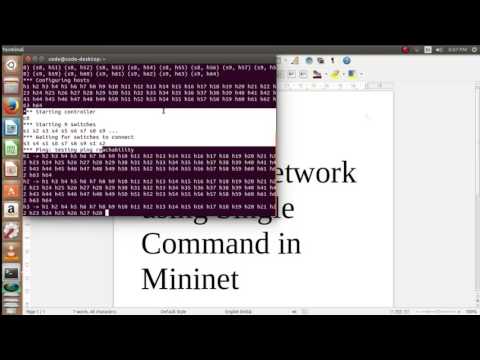 Mininet custom topology